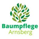 Baumpflege Arnsberg